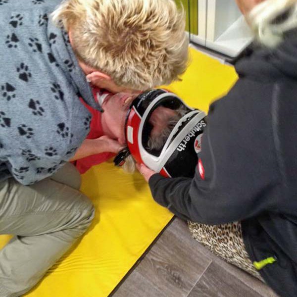 Erste-Hilfe für bewusstlose Motorradfahrer / © 2016 Arche KaNaum (DN) Erste-Hilfe für bewusstlose Motorradfahrer / © 2016 Arche KaNaum (DN)