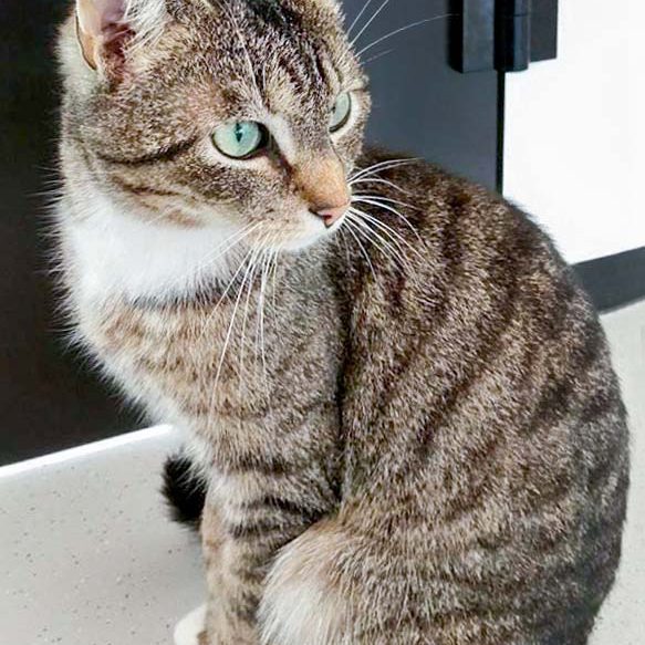 Kätzin Isa / © 2016 Arche KaNaum (DN) Kätzin Isa / © 2016 Arche KaNaum (DN)