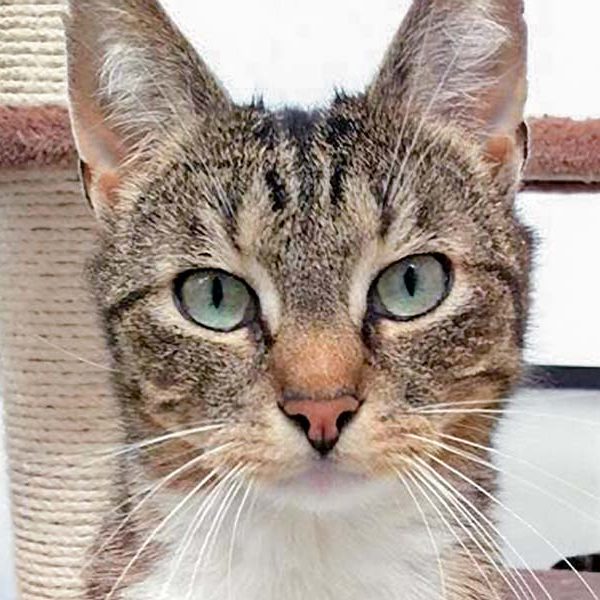 Kätzin Isa / © 2016 Arche KaNaum (DN)