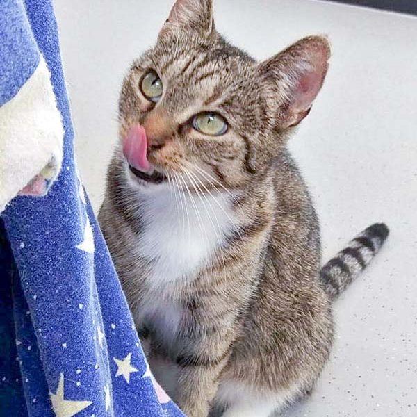 Kätzin Isa / © 2016 Arche KaNaum (DN) Kätzin Isa / © 2016 Arche KaNaum (DN)