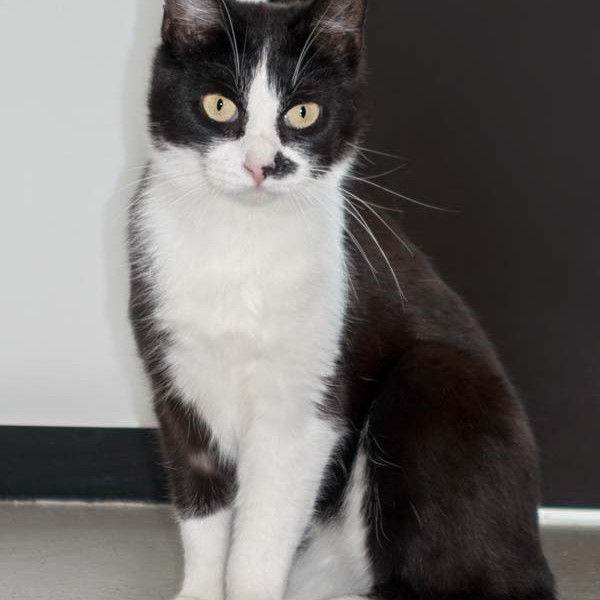 Kater Point / © 2016 Arche KaNaum (NH) Kater Point / © 2016 Arche KaNaum (NH)