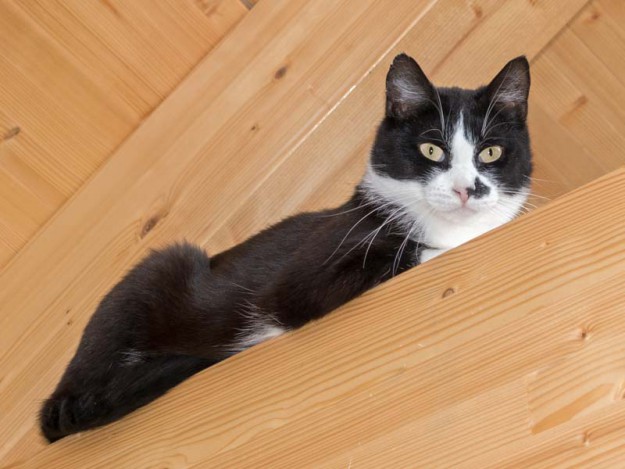 Kater Point / © 2016 Arche KaNaum (NH)