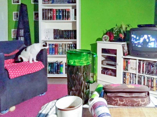 Kätzin Skinny im neuen Zuhause / © 28.04.'16 Privat