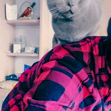 Kater Monty im neuen Zuhause / © 25.05.'16 Privat - Candy