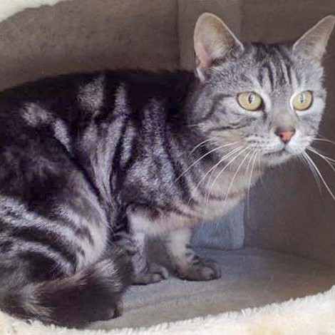 Kätzin Checky / © 2016 Arche KaNaum (DN) Kätzin Checky / © 2016 Arche KaNaum (DN)