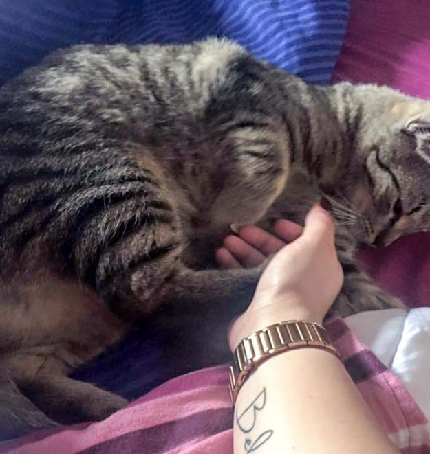 Kater Roland im neuen Zuhause / © 10.05.'16 Privat