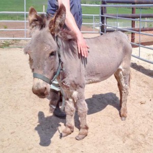 … und danach / © 2016 Arche KaNaum (DN) ... und danach / © 2016 Arche KaNaum (DN)