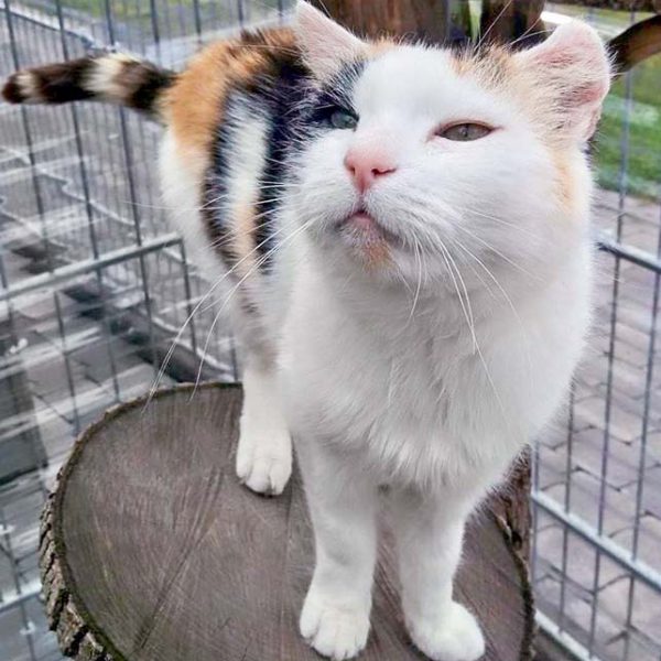 Kätzin Raja / © 2016 Arche KaNaum (DN) Kätzin Raja / © 2016 Arche KaNaum (DN)