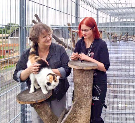 Kätzin Sandy aka Raja und ihre Besitzer / © 2016 Arche KaNaum (DN)