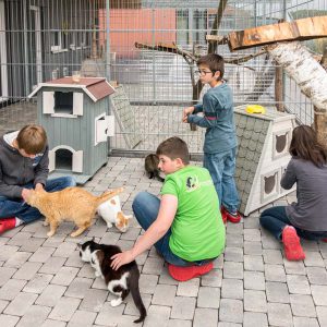 Einige Kids unserer Tierschutz-Jugend mit ihren Schützlingen, den FIVis / © 2016 Arche KaNaum (NH) Einige Kids unserer Tierschutz-Jugend mit ihren Schützlingen, den FIVis / © 2016 Arche KaNaum (NH)