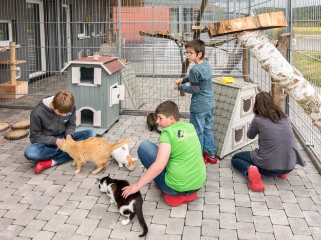 Einige Kids unserer Tierschutz-Jugend mit ihren Schützlingen, den FIVis / © 2016 Arche KaNaum (NH)