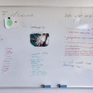 Kindgerechtes Vermitteln von Tierschutz-Themen / © 2016 Arche KaNaum (DN) Kindgerechtes Vermitteln von Tierschutz-Themen / © 2016 Arche KaNaum (DN)