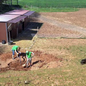 Eine der etwas anstrengenderen Aktionen unserer Tierschutz-Jugend: Eine Suhle für Rübe und Basti / © 2016 Arche KaNaum (DN) Eine der etwas anstrengenderen Aktionen unserer Tierschutz-Jugend: Eine Suhle für Rübe und Basti / © 2016 Arche KaNaum (DN)