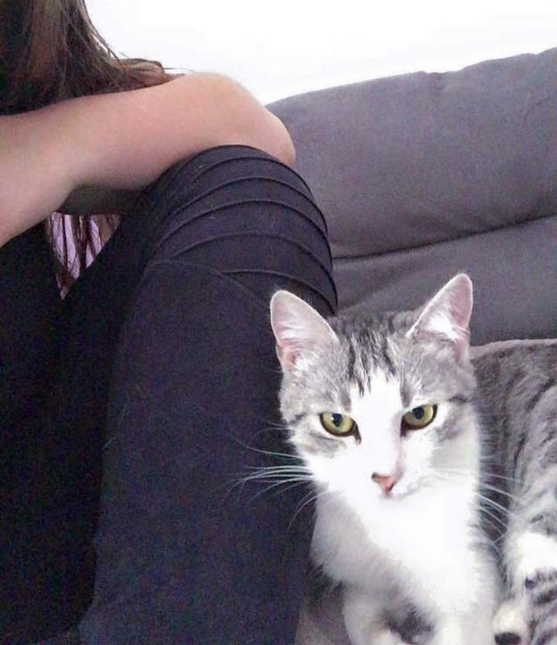 Kätzin Ruby im neuen Zuhause / © 05.06.'16 Privat