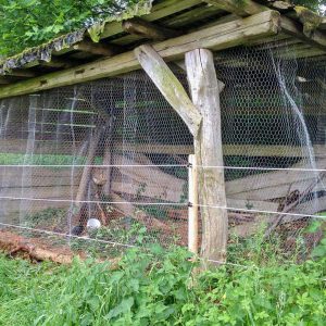 Fridolins Trainingsgelände  / © 2016 Arche KaNaum (DN) Fridolins Trainingsgelände / © 2016 Arche KaNaum (DN)