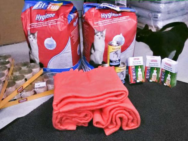 Vielen Dank für die Spenden! / © 2016 Arche KaNaum (DN) Vielen Dank für die Spenden! / © 2016 Arche KaNaum (DN)