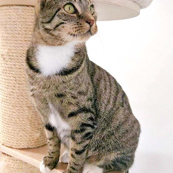 Kätzin Mara  / © 2016 Arche KaNaum (OS) Kätzin Mara / © 2016 Arche KaNaum (OS)