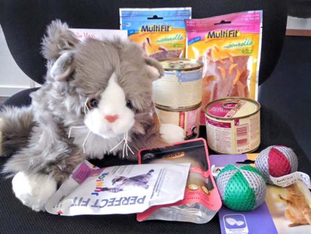 Maxis neuer Stoffkumpel und Futterspende / © 2016 Arche KaNaum (DN)