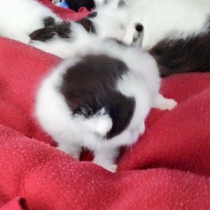 Eins von Lisannas Babys  / © 2016 Arche KaNaum (DN) Eins von Lisannas Babys / © 2016 Arche KaNaum (DN)