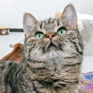 Kätzin Mirja / © 2017 Arche KaNaum (JM)