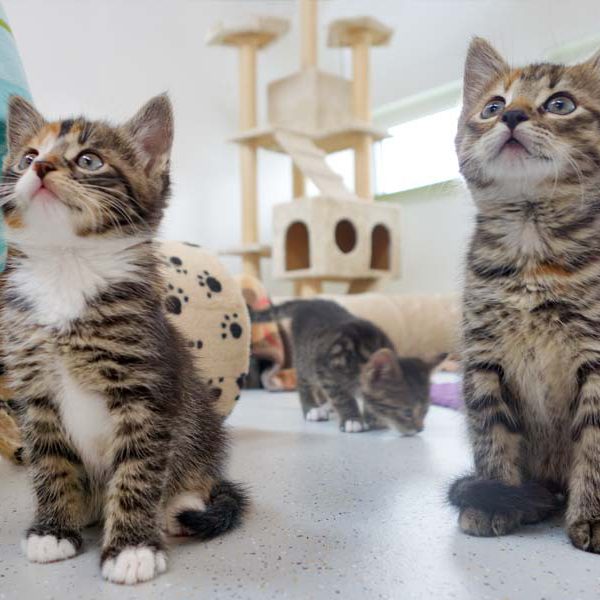 Schwestern Anni (l.) und Drusel / © 2016 Arche KaNaum (JM)