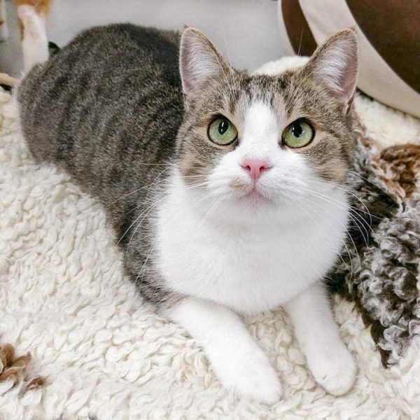 Kätzin Silia / © 2016 Arche KaNaum (OS) Kätzin Silia / © 2016 Arche KaNaum (OS)