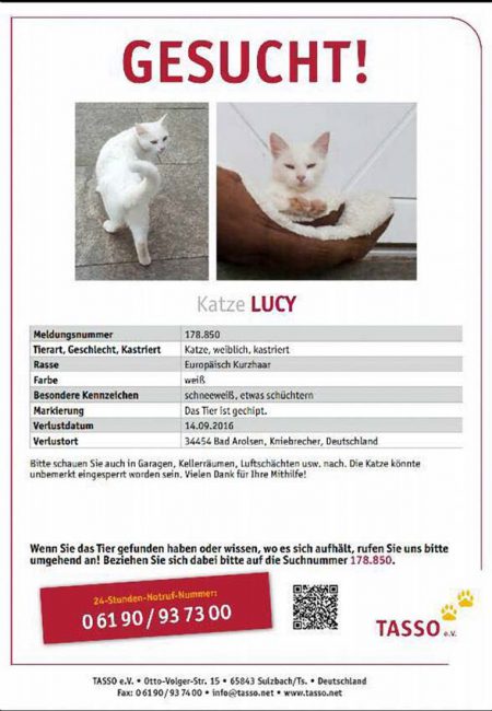 Vermisst: Kätzin Lucy (178.850) / © 2016 TASSO e.V.