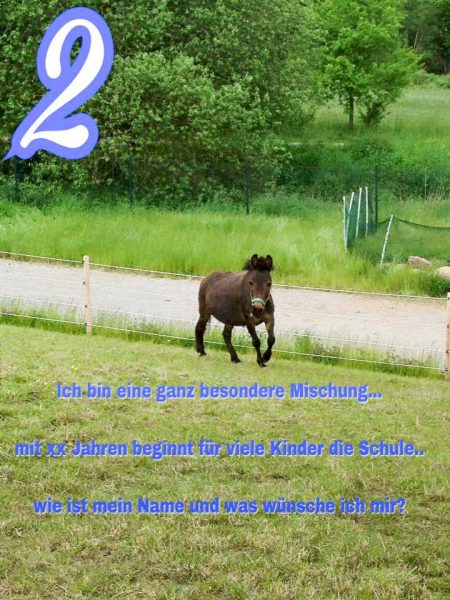 Muli-Stute Sika / © 2016 Arche KaNaum (DN)