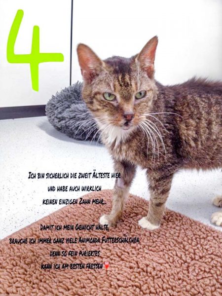 Kätzin Oma Gabi / © 2016 Arche KaNaum (DN)