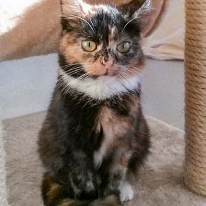 Kätzin Philomena / © 2016 Arche KaNaum (JM) Kätzin Philomena / © 2016 Arche KaNaum (JM)