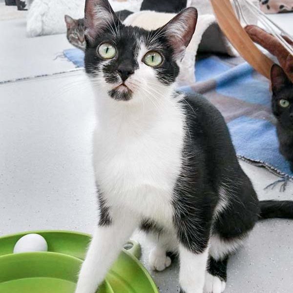 170501_tama_006_v1kk