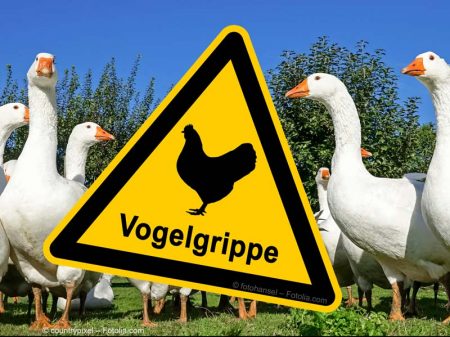 Achtung - Vogelgrippe! / © fotohansel + © countrypixel – Fotolia.com