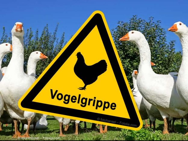 Achtung – Vogelgrippe! /  © fotohansel + © countrypixel – Fotolia.com Achtung - Vogelgrippe! / © fotohansel + © countrypixel – Fotolia.com