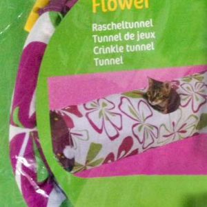 Für Punky und ihre Gruppe ... / © 2016 Arche KaNaum (DN)