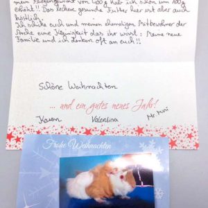 Ein lieber Gruss und tolle Geschenke von unserem kleinen Mr. Mini / © 2016 Arche KaNaum (SU)