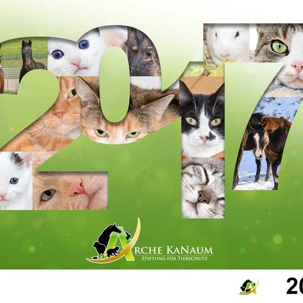 Kalendertitel 2017 / © 2016 Arche KaNaum (NH)