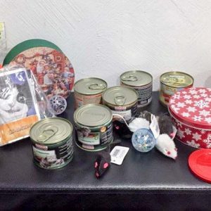 Tolle Leckereien für die Katzen und Kekse für uns / © 2016 Arche KaNaum (DN)