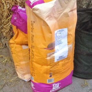 Leckeres Mash für unseren Sir Tobi / © 2016 Arche KaNaum (DN)