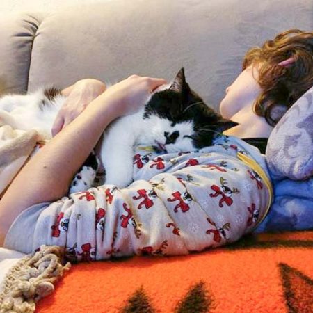 Kater Dalton im neuen Zuhause / © 15.01.'17 Privat