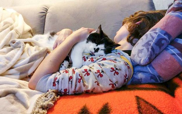 Kater Dalton im neuen Zuhause / © 15.01.'17 Privat