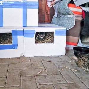 Die Wärme-Boxen für die Streunerkatzen-Populationin in Lotte / © 2017 Streunerhilfe Ni-No e.V. Die Wärme-Boxen für die Streunerkatzen-Populationin in Lotte / © 2017 Streunerhilfe Ni-No e.V.