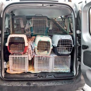 Katzen-Aktion in Lotte: Unser Transportfahrzeug – ein echtes Raumwunder ;-) / © 2017 Arche KaNaum (DN) Katzen-Aktion in Lotte: Unser Transportfahrzeug - ein echtes Raumwunder ;-) / © 2017 Arche KaNaum (DN)