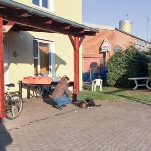 Katzen-Aktion in Lotte: Anfüttern der Tiere / © 2017 Arche KaNaum (DN) Katzen-Aktion in Lotte: Anfüttern der Tiere / © 2017 Arche KaNaum (DN)