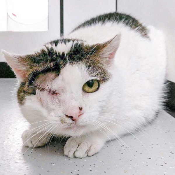 Kätzin Granny / © 2017 Arche KaNaum (JM)170221_granny_001_v1kk Kätzin Granny / © 2017 Arche KaNaum (JM)