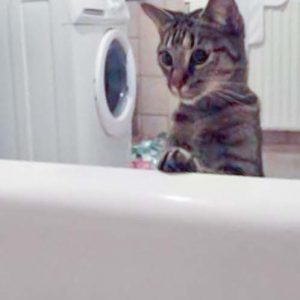 Kätzin Zwiebel  / © 2017 Privat Kätzin Zwiebel / © 2017 Privat
