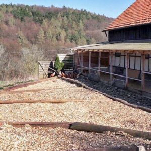 Blick auf die Hühner-Freilaufflächen von Gut Kappel  / © 2017 Arche KaNaum Blick auf die Hühner-Freilaufflächen von Gut Kappel / © 2017 Arche KaNaum