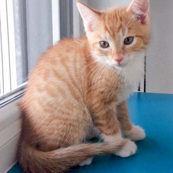 Katerchen Buck / © 2017 Arche KaNaum (DN) Katerchen Buck / © 2017 Arche KaNaum (DN)