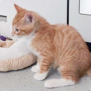 Katerchen Buck / © 2017 Arche KaNaum (DN) Katerchen Buck / © 2017 Arche KaNaum (DN)