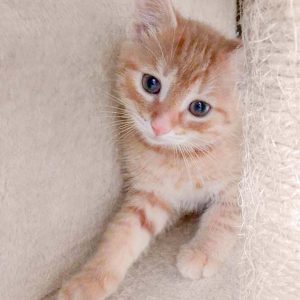 Katerchen Cliff / © 2017 Arche KaNaum (DN) Katerchen Cliff / © 2017 Arche KaNaum (DN)