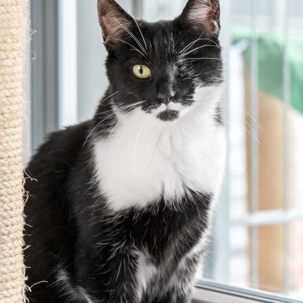 Kätzin Fine / © 2017 Arche KaNaum (NH) Kätzin Fine / © 2017 Arche KaNaum (NH)